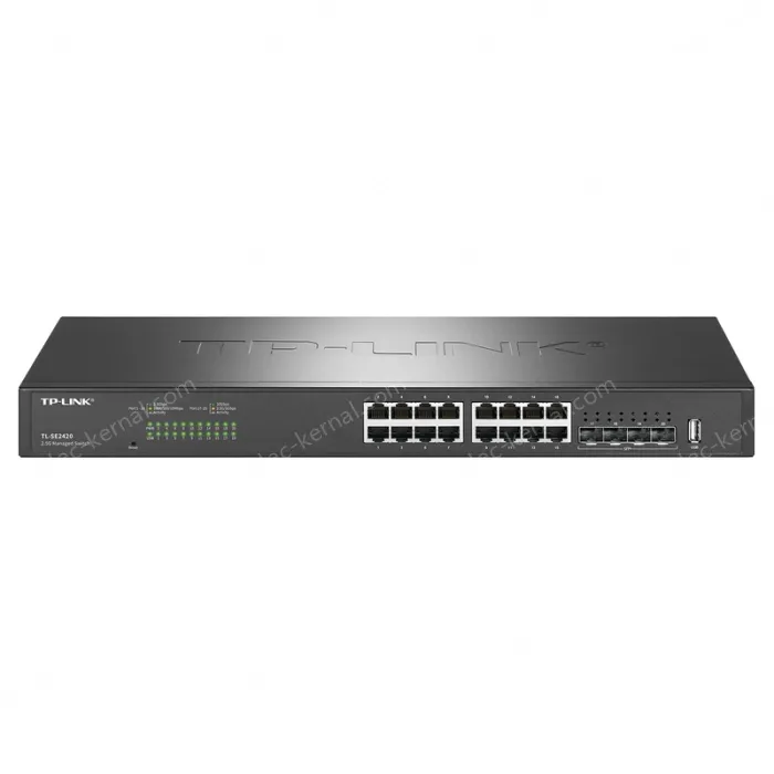 20 port 2.5G cloud management switches